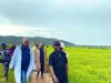 POLITICS OF PAYBACK? KEFIANO ALLEGES TARGETED CRACKDOWN AS PLATEAU GOVT SHUTS DOWN FARM OPERATIONS